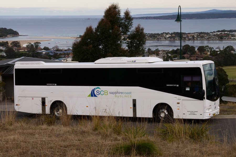 Sapphire Coast Buslines image