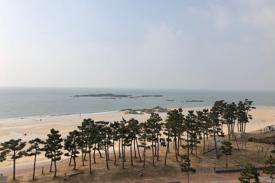 Dacheon Beach image