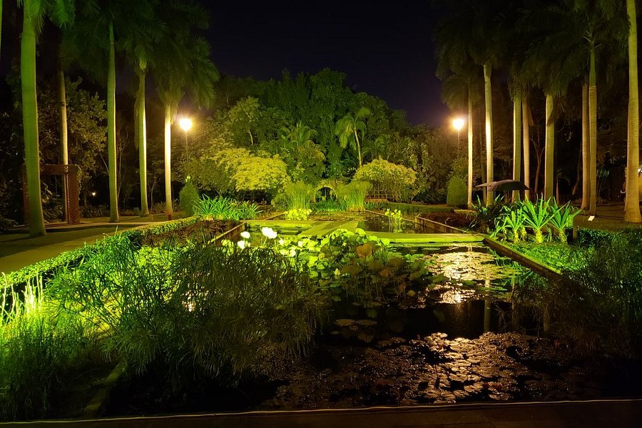 Jardin Botanico Culiacan image