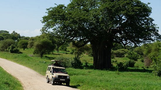 Tanga Wonders Adventures Tours & Safaris image
