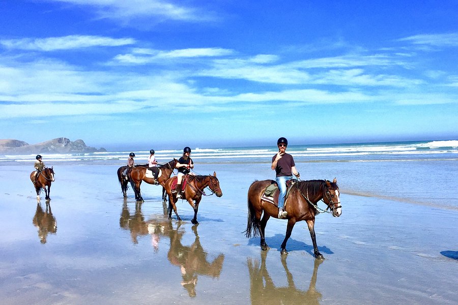 Catlins Horse Riding image