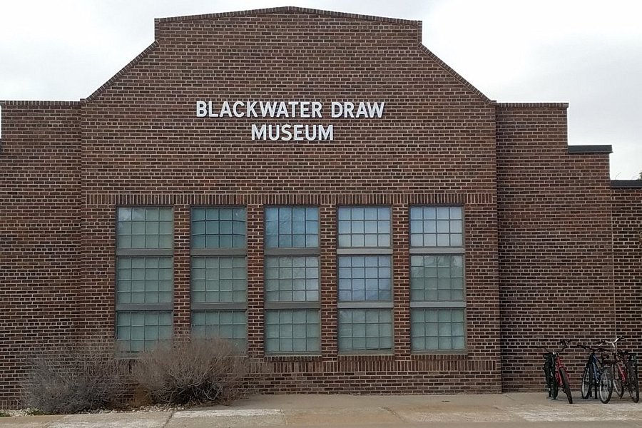 Blackwater Draw Museum image