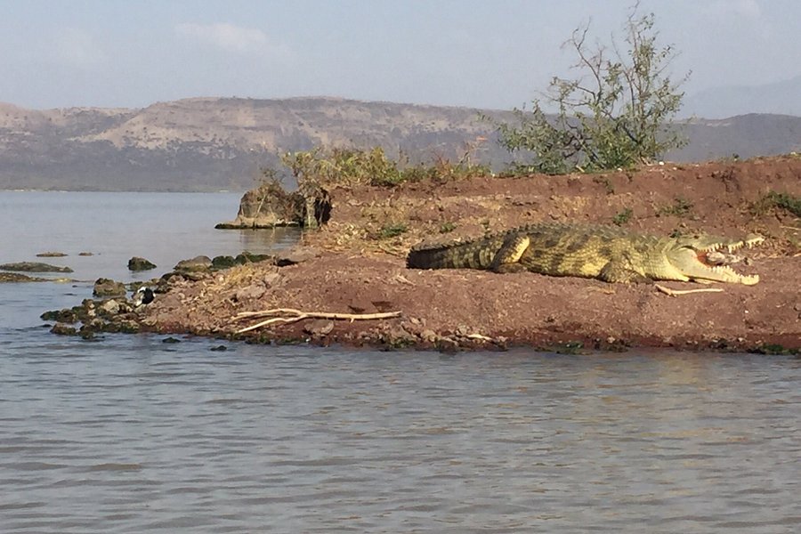 Hippo watching on Lake Awassa image