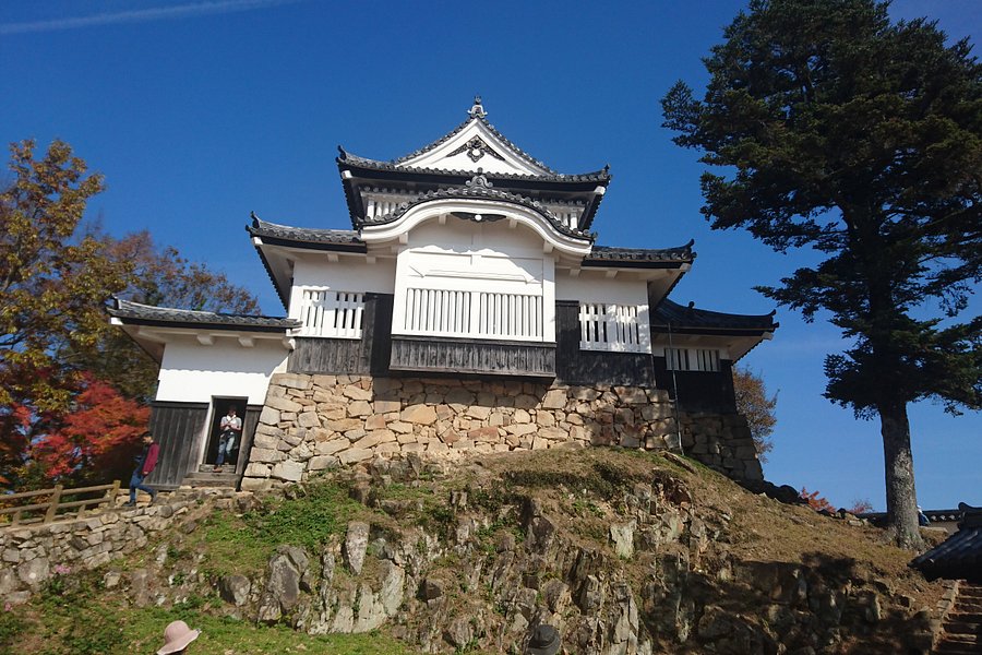 Bitchu Matsuyama Castle image