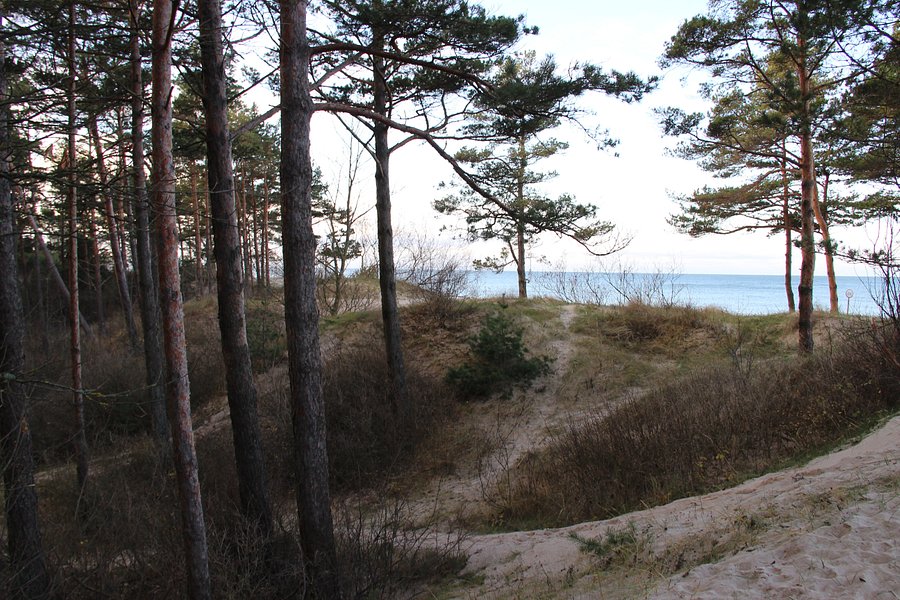 The Seaside Regional Park image