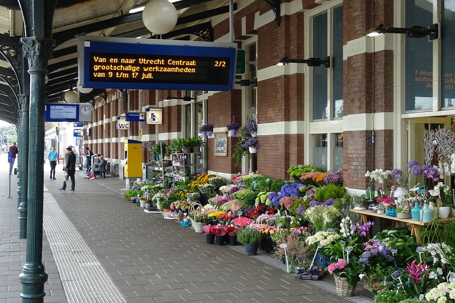 NS Station Hoorn image