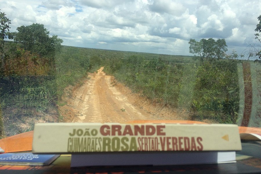 Parque Nacional Grande Sertao Veredas image