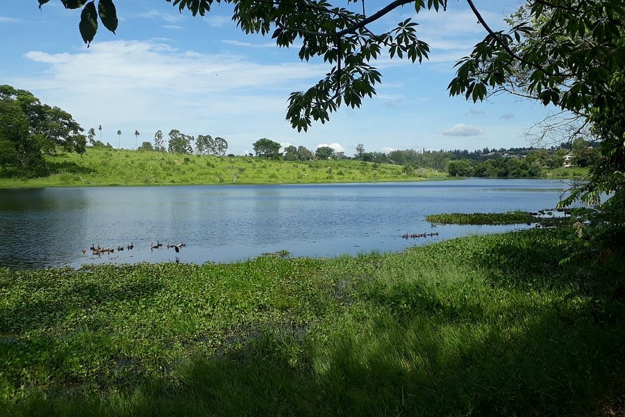 Palmeiras Lake image