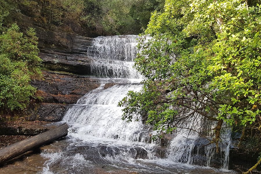 Lady Barron Falls image