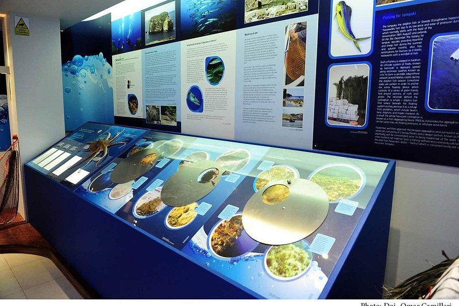 Dwejra Marine Environmental Education Centre image