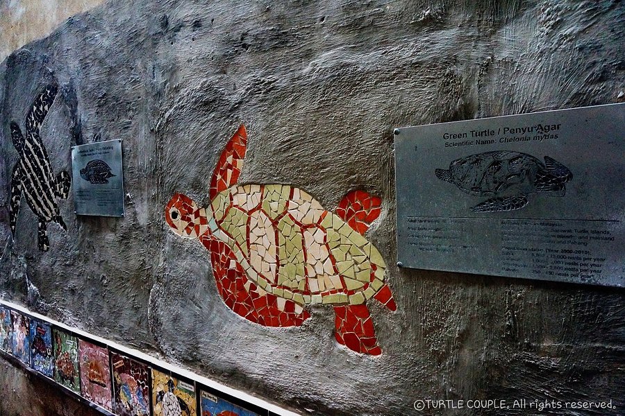 Turtle Sculpture image