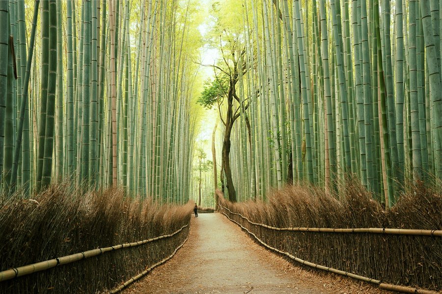 Arashiyama image