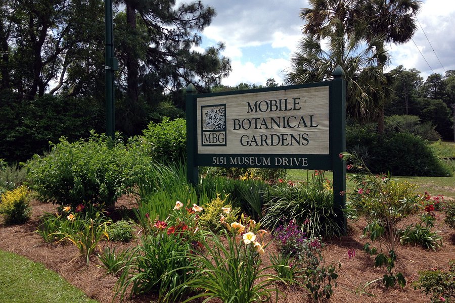 Mobile Botanical Gardens image