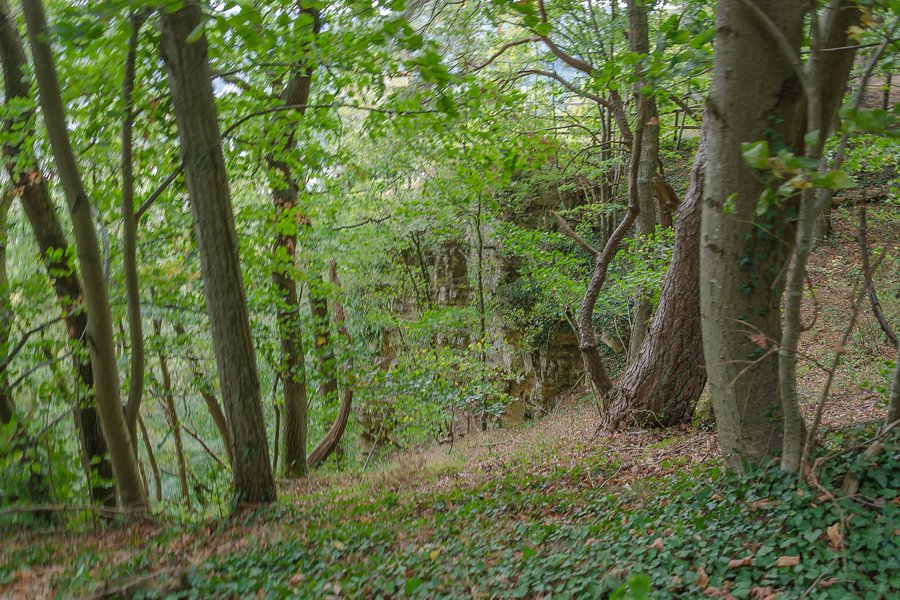 Deutsch-Luxemburgischer Naturpark image