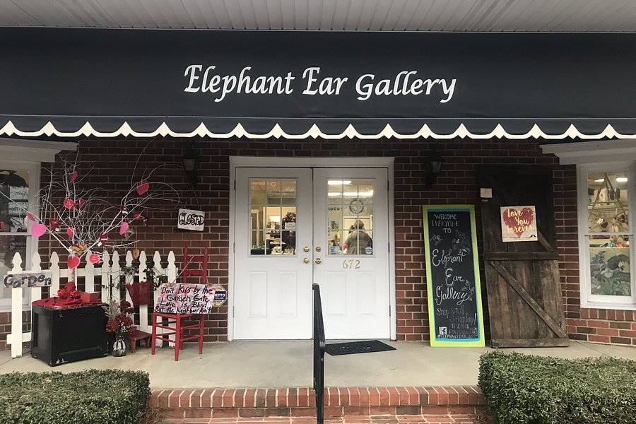 The Elephant Ear Gallery image