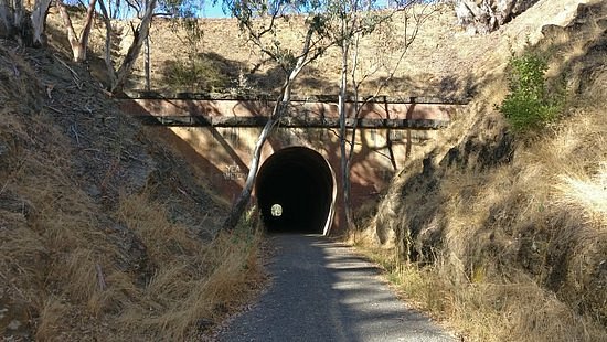 Cheviot Tunnel image
