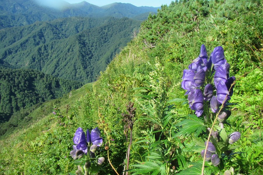 Mt. Obira image