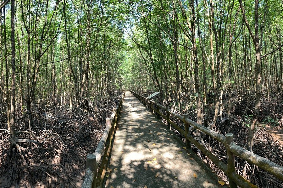 Ngao Mangrove Forest Research Centre image