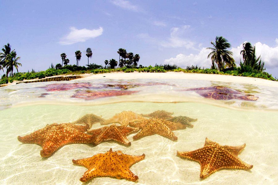 Starfish Point image