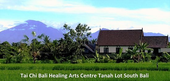 Tai Chi Bali Healing Arts Centre image