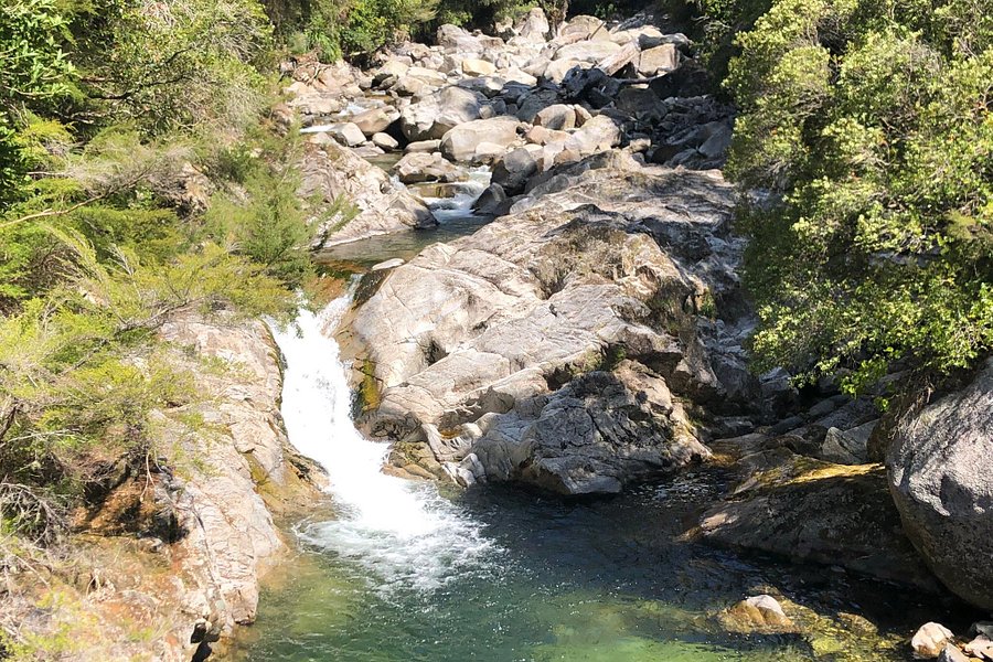 Wainui Falls Track image