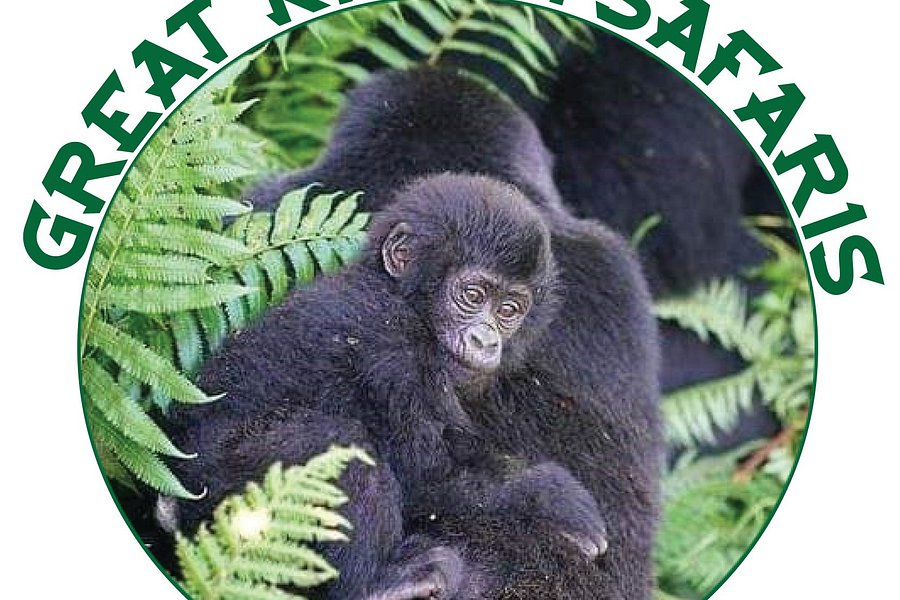 Kigezi Vima Safaris image