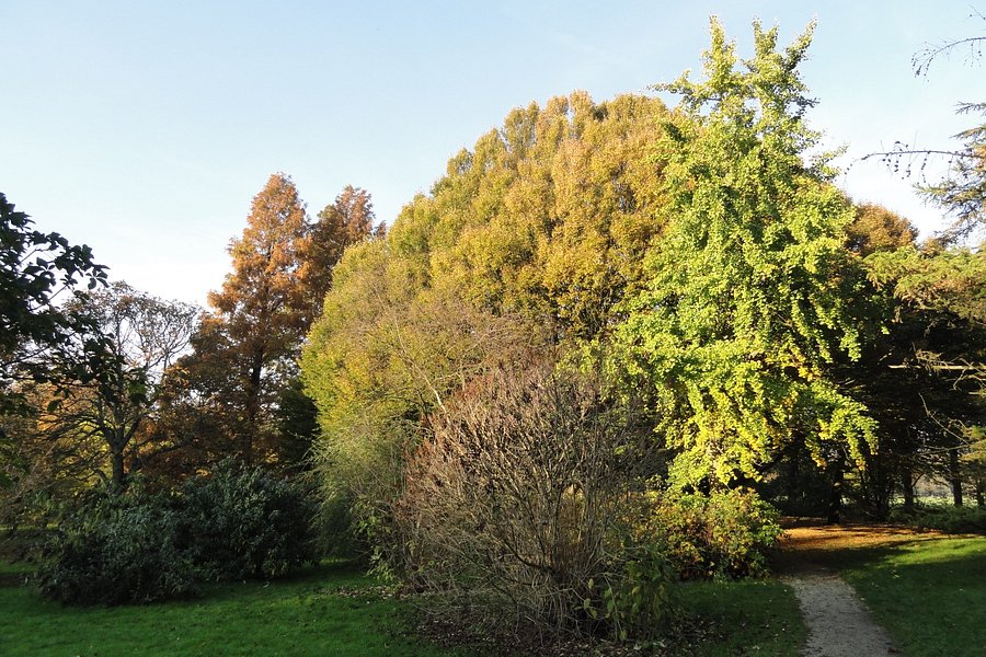 Arboretum Heempark image