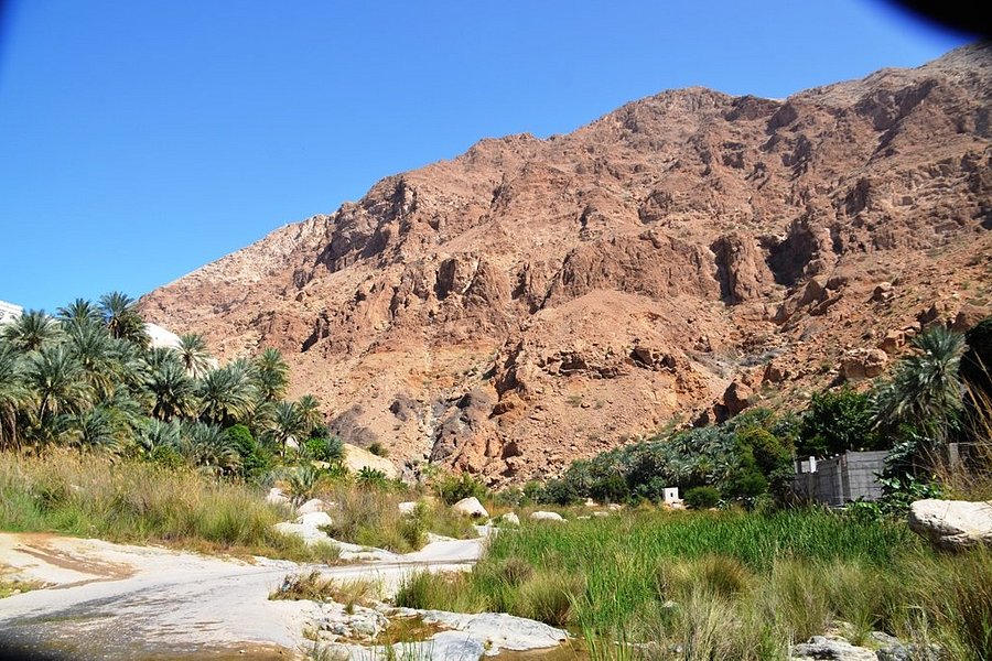 Wadi Tiwi image