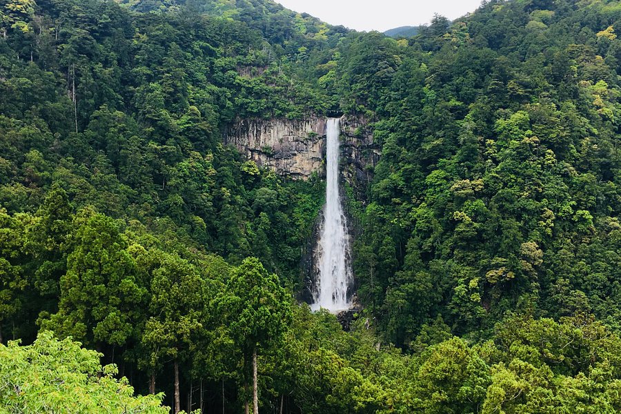 Nachi Mitaki Falls image