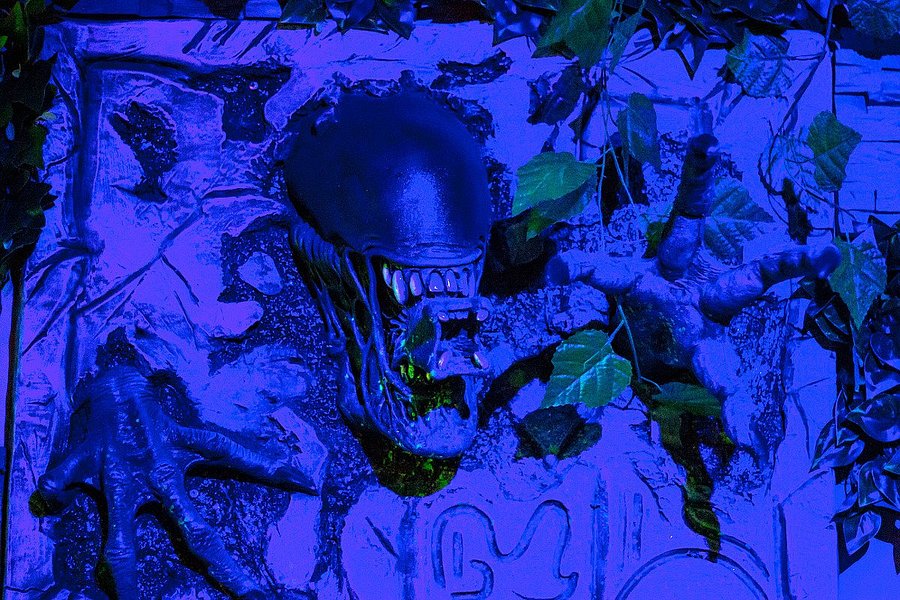 Alien Park Oberwart image