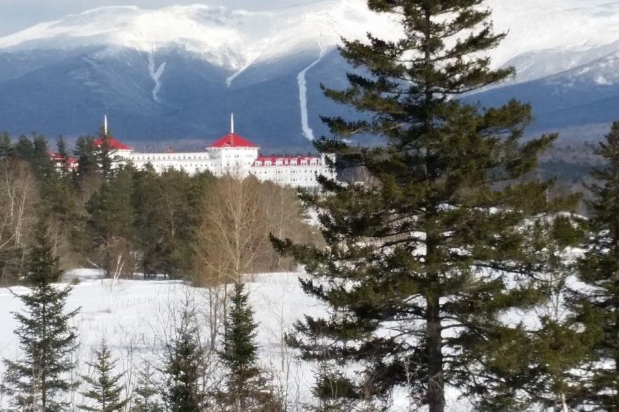 Bretton Woods at Mount Washington Resort image