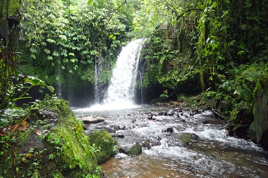 Yeh Ho Waterfalls image