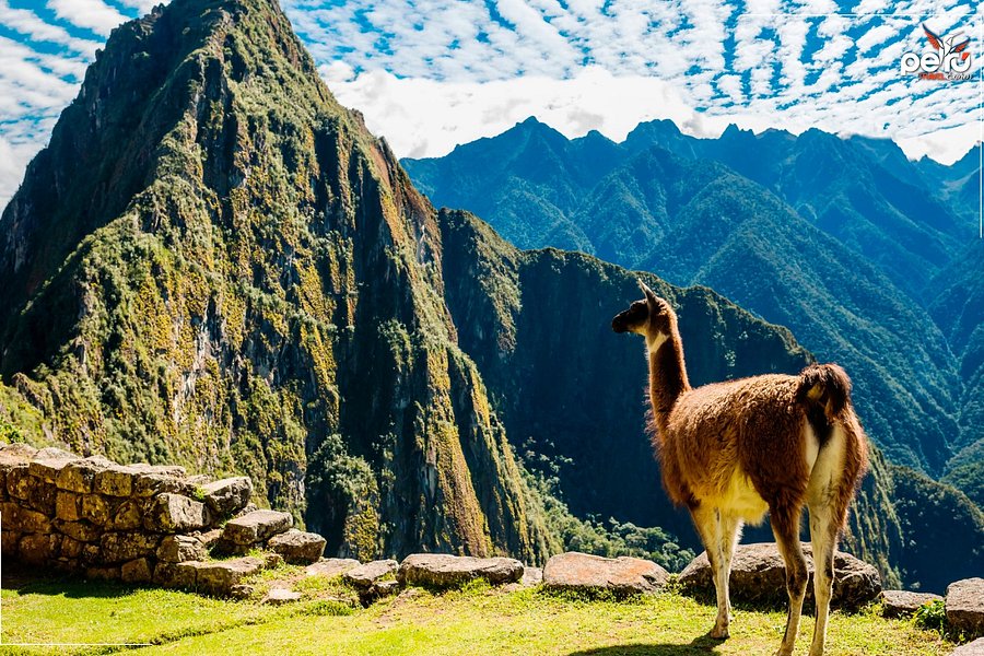 Peru Travel Express image