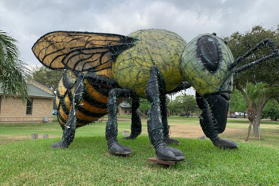 World's Largest Killer Bee image