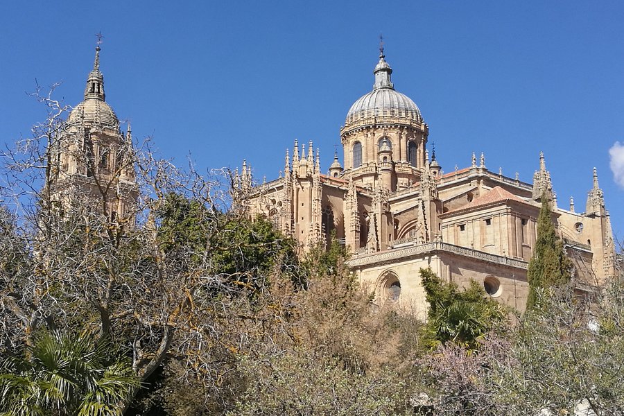 Ciudad Vieja de Salamanca image