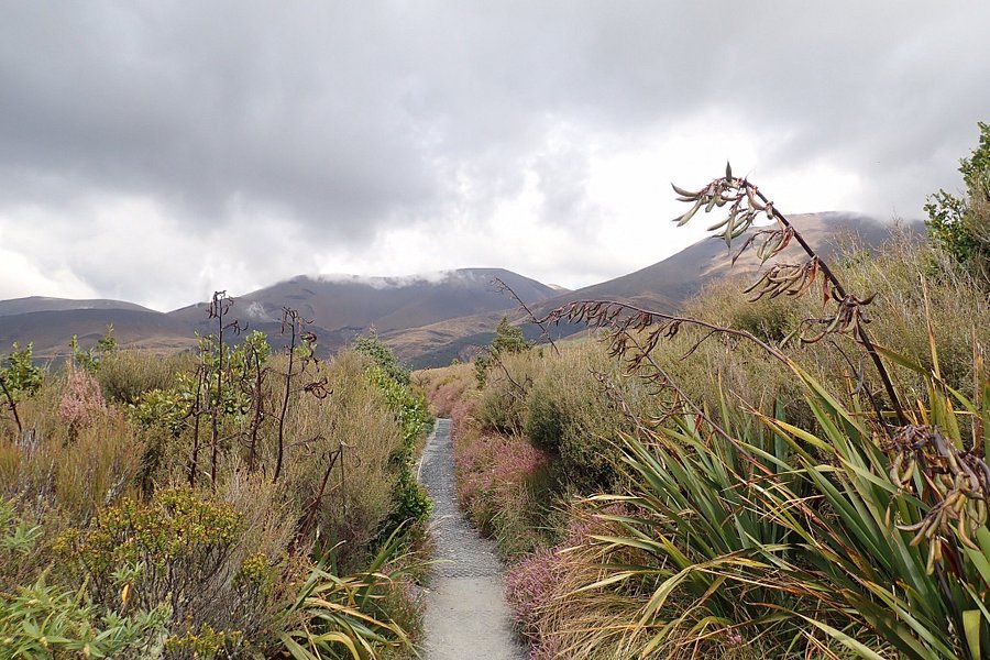 Tongariro National Park Visitor Centre (Whakapapa Visitor Centre) image