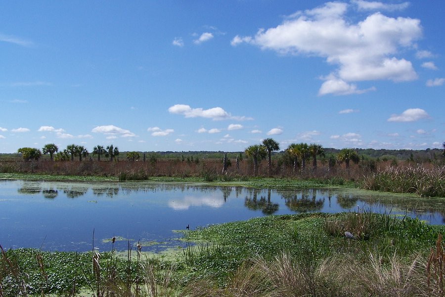 Sweetwater Wetlands Park image