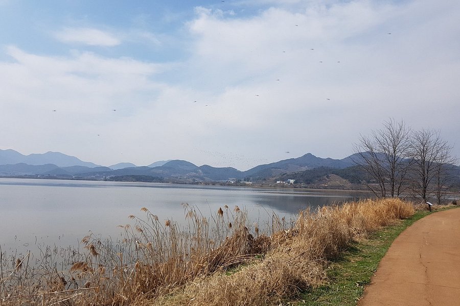 Junam Reservoir image