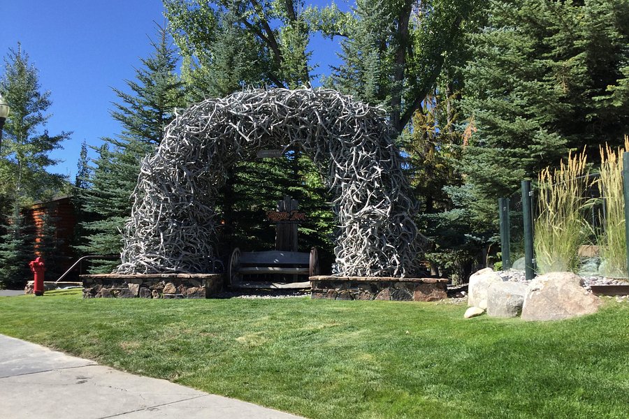 Antler Arches of Jackson image