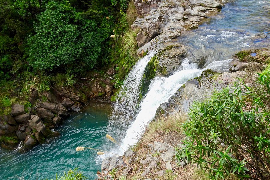 Tawhai Falls image