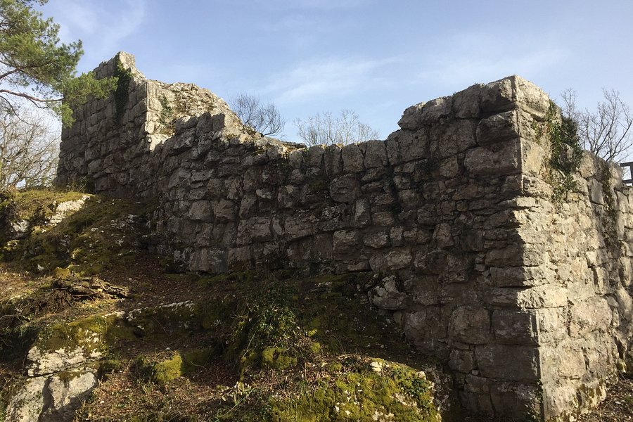 Burg Radegg image