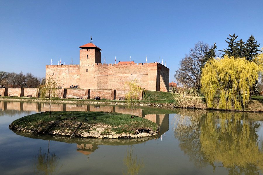 Gyula Castle image