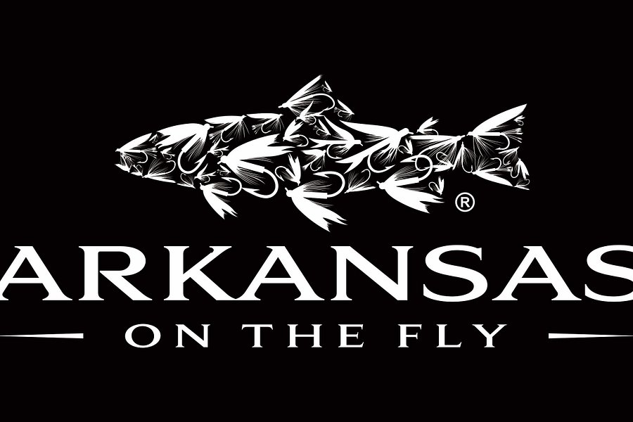 Arkansas On The Fly image