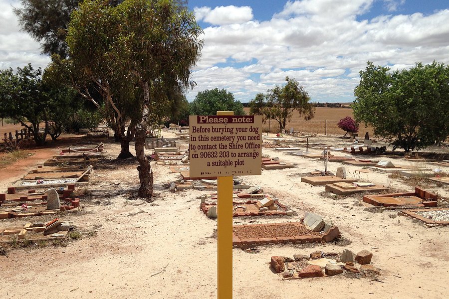 Corrigin Dog Cemetery image