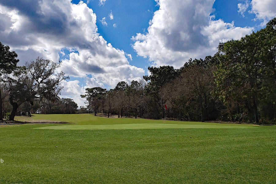 Pine Ridge Golf & Country Club image