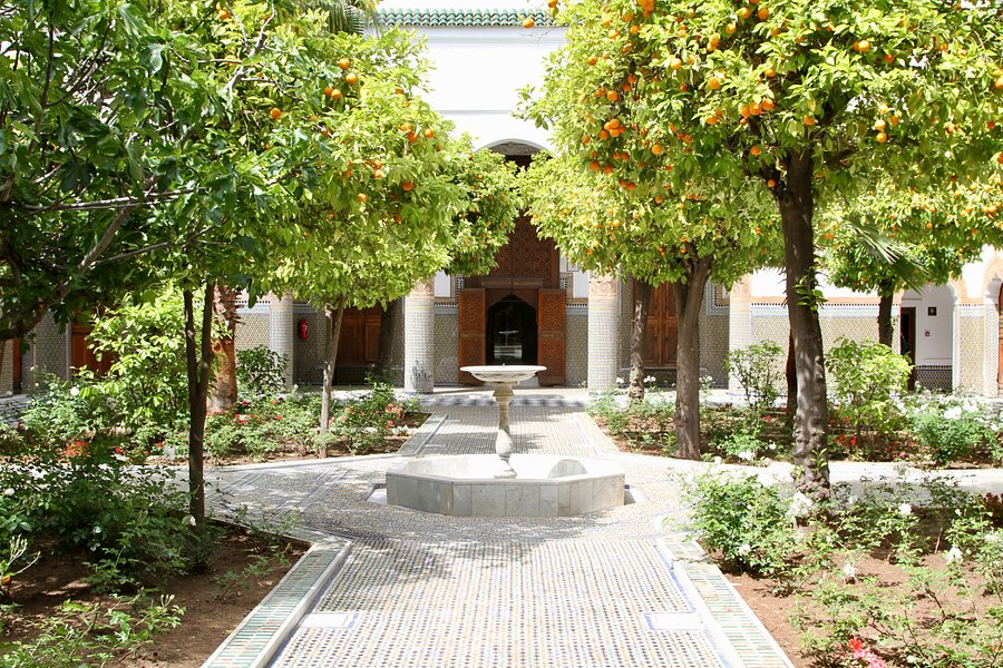 Dar El Bacha - Musee des Confluences image