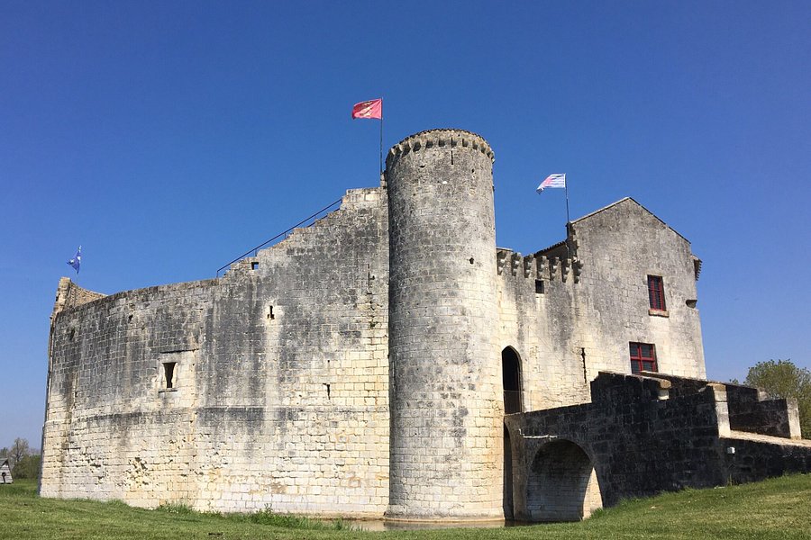 Chateau Fort de Saint Jean d'Angle image
