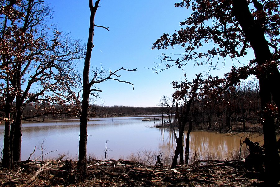 Cross Timbers State Park image