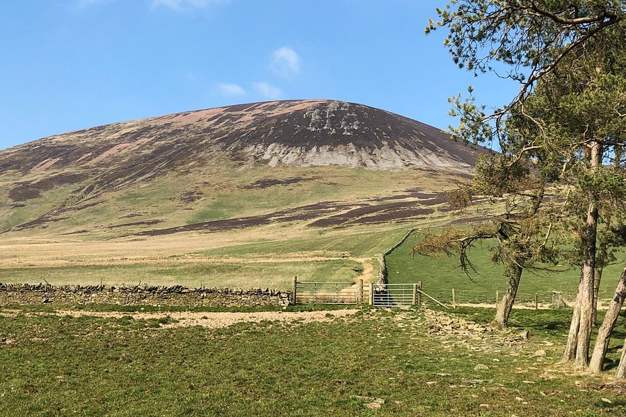 Tinto Hill image