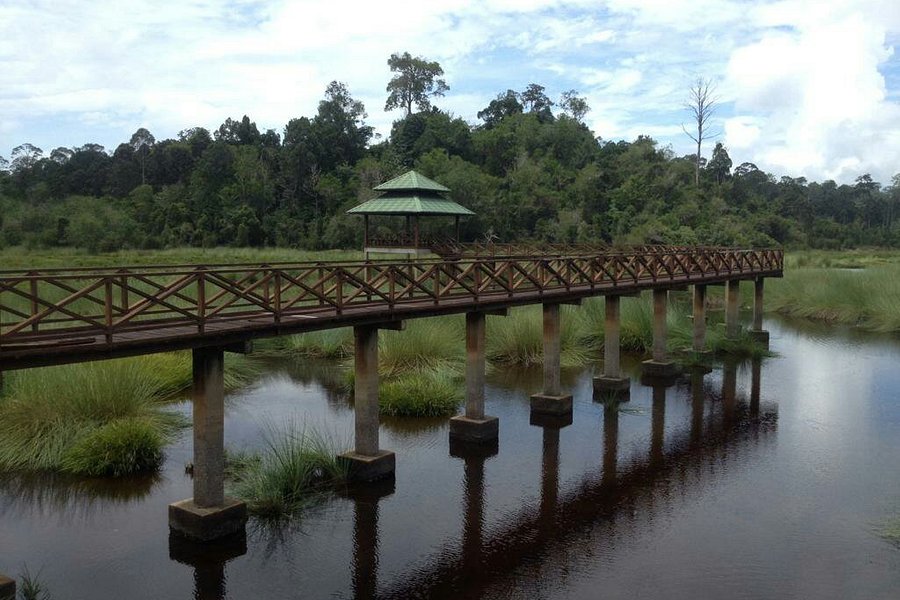 Luagan Lalak Recreation Park image